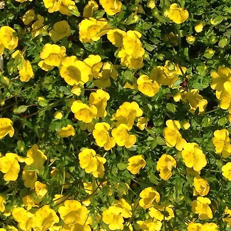 Gaestehaus Hannelore Geiselwind