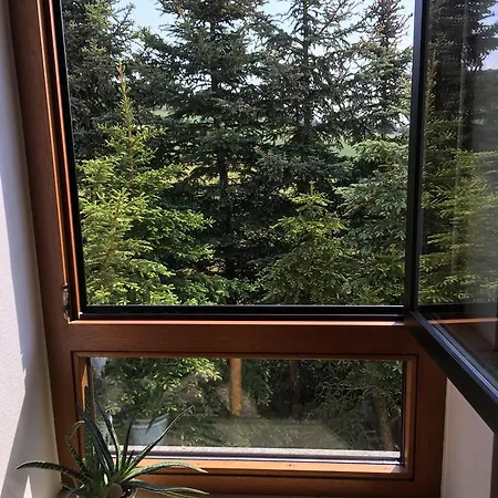 Gaestehaus Hannelore 2* Гайзельвинд